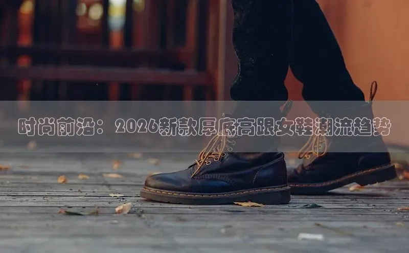 足球蜘蛛直播在线观看