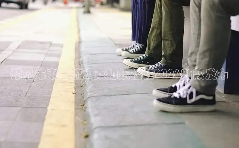 蜘蛛体育直播app