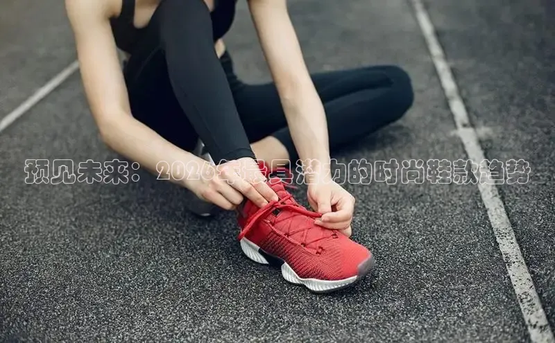 蜘蛛体育直播在线看